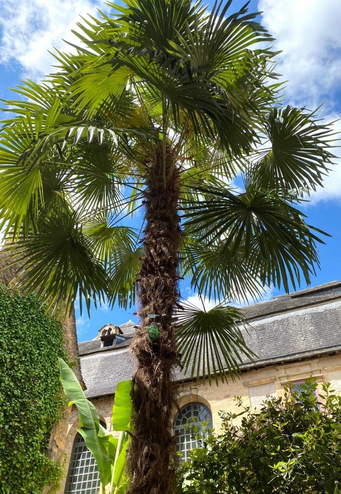 La Villa Des Consuls - Gite De Tourisme De Charme Sarlat Exterior foto